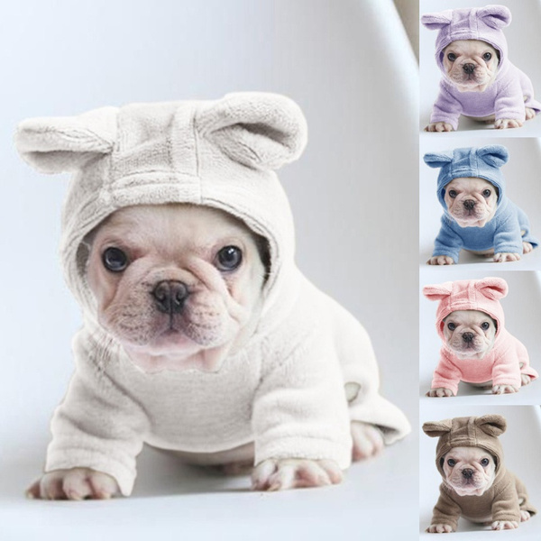 cute dog winter outfits