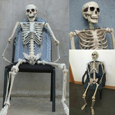 skeletonmodel, Skeleton, halloweenpartyprop, humanskeleton