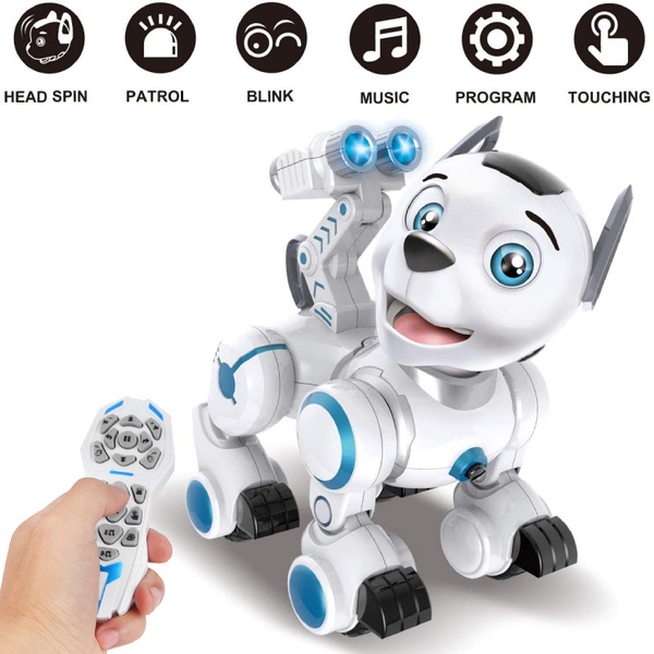 remote control dog toys