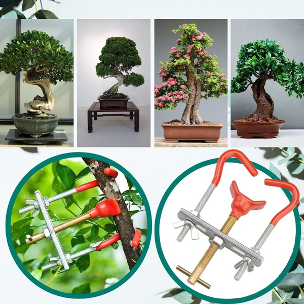 Bonsai Branch Bender Tool, Plant Bending Style tool, Gardening Bonsai
