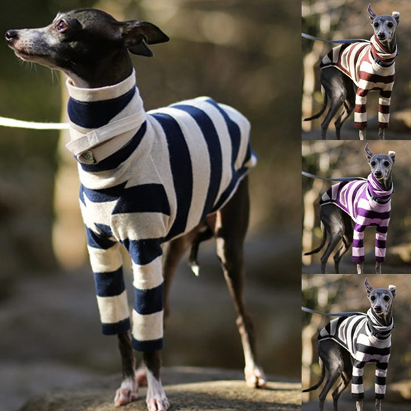 whippet clothes