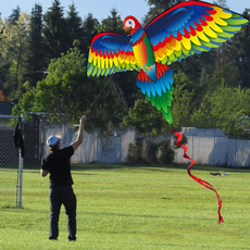 Fantastic, Outdoor, kite, Outdoor Sports