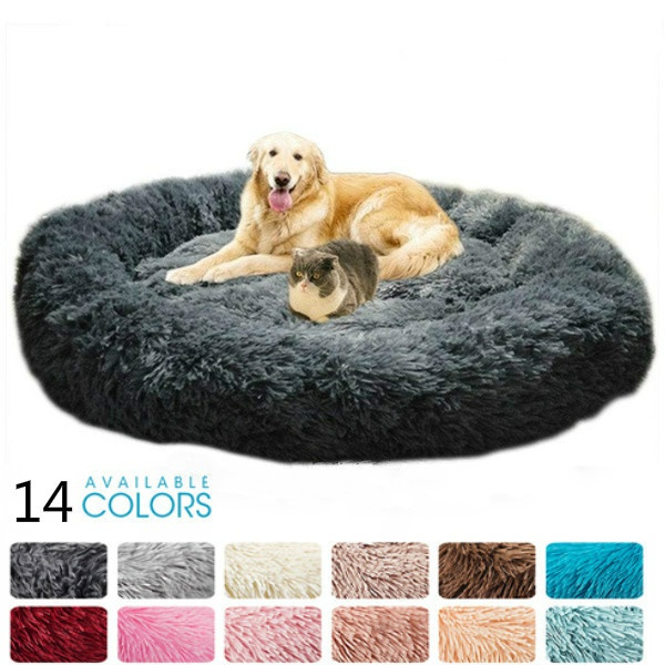dog bed warehouse