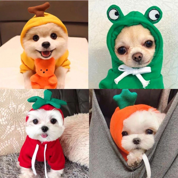 Cute 2025 dog hoodies