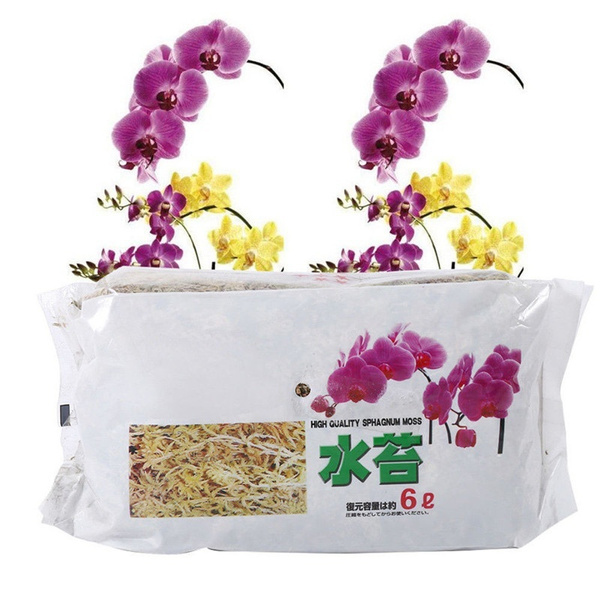 Dragon Sphagnum Moss - Gedroogd terrarium mos voor reptielen & amfibieën - 100g