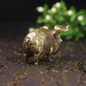 thumbnail - 6