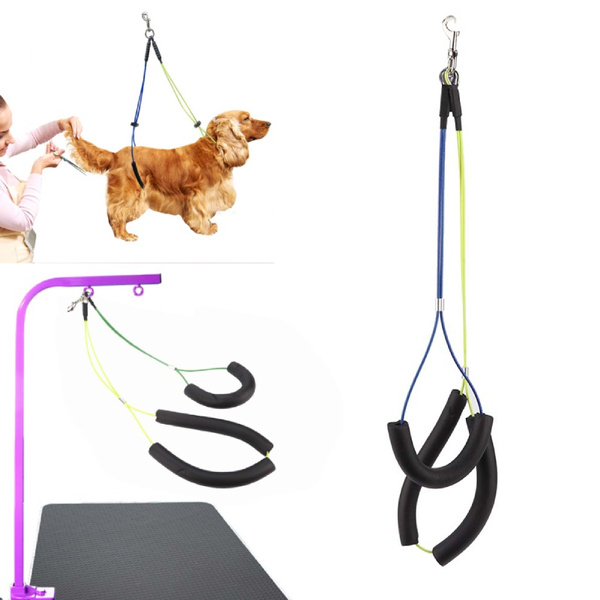 Dog grooming hotsell leash holder