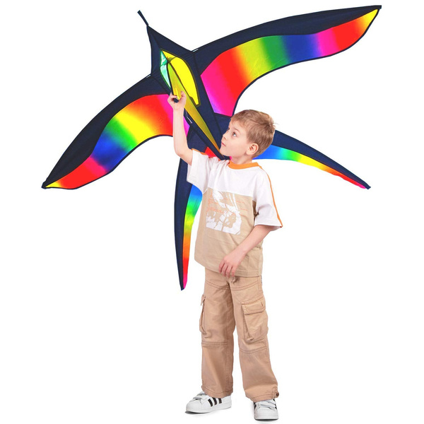 Rainbow ring Stoie's-Bird Kite–Huge bird Kite for Kids and Adults-62*38 Inches 