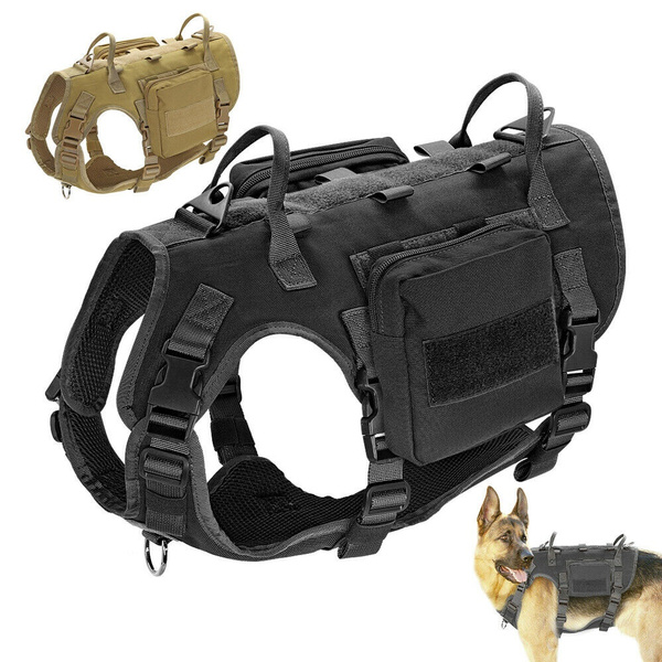 pitbull tactical harness