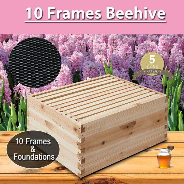 10-Frame Deep Size Beekeeping Kit Bee Hive House Frame Single Layer 
