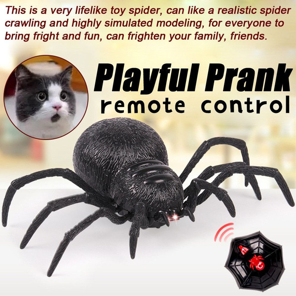 rc spider robot