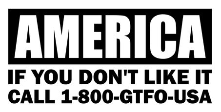 Car Sticker, America, gtfo, Home Decor