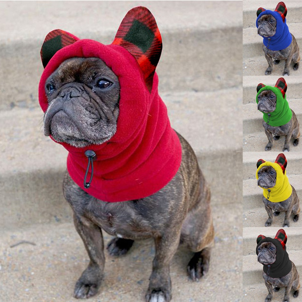 bat hat for french bulldog