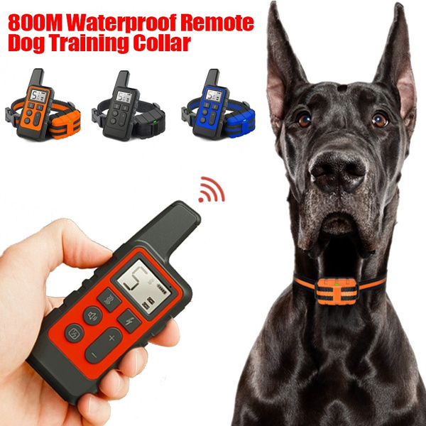 remote control electric dog collar