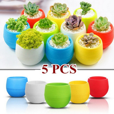 Mini, Flowers, Garden, Gardening Supplies