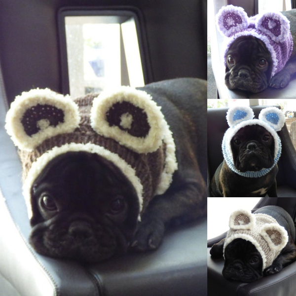 bat hat for french bulldog