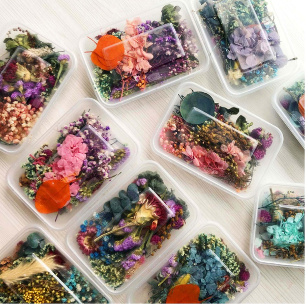 1 Box Mix Beautiful Real Dried Flowers Natural Floral for Art Craft  Scrapbooking Resin Jewelry Craft Making Epoxy Mold Filling 