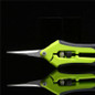 thumbnail - 6