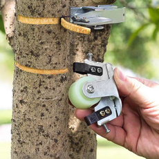 Plants, Gardening, Garden, Gardening Tools