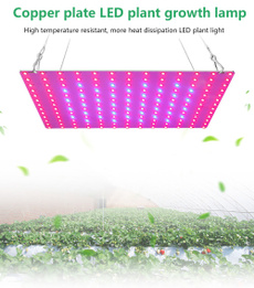 plantlamp, Plants, led, hydroponic