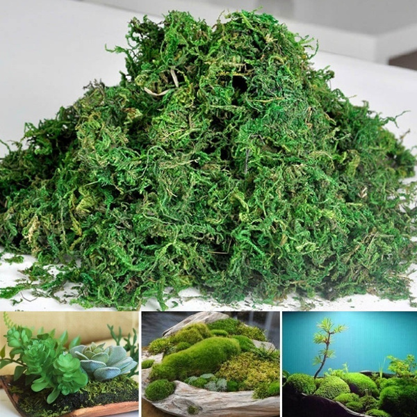 40/80g Bag Dry Real Natural Green Artificial Fake Moss Lawn Flower DIY  Accessories Decorative Plant Grass Household Flower Pot Decoration