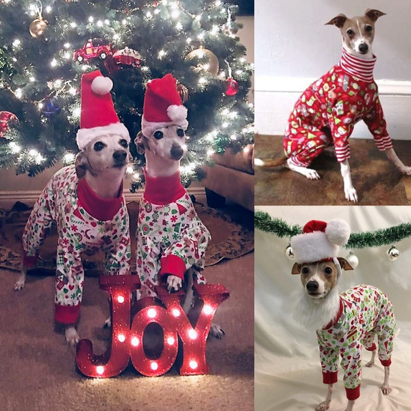 Small dog best sale christmas pajamas