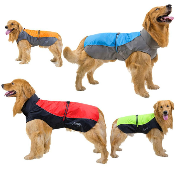 border collie waterproof coat