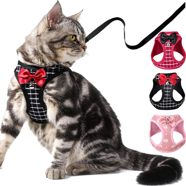 wish cat harness