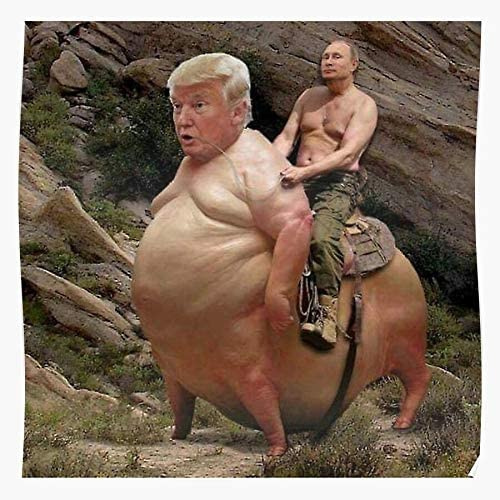 Putin Meme Tumblr Vladimir Trump Dank Donald Democrat Funny Home Decor Wall  Art Print Poster | Wish