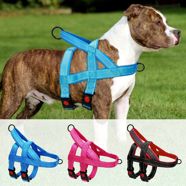 Heavy duty outlet harness for pitbulls