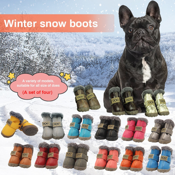 Shoes Chihuahua Dogs Snow, Chihuahua Dog Boots Winter
