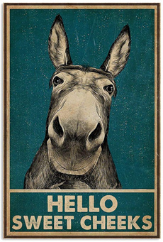funnyposter, Funny, Donkey, getnakedposter