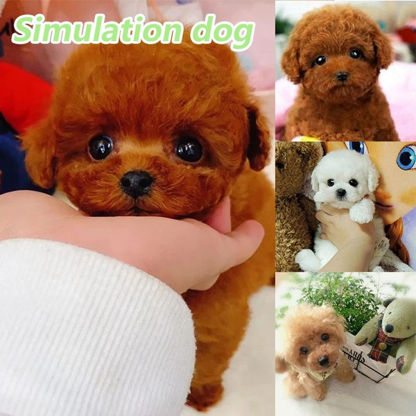 realistic tiny dogs