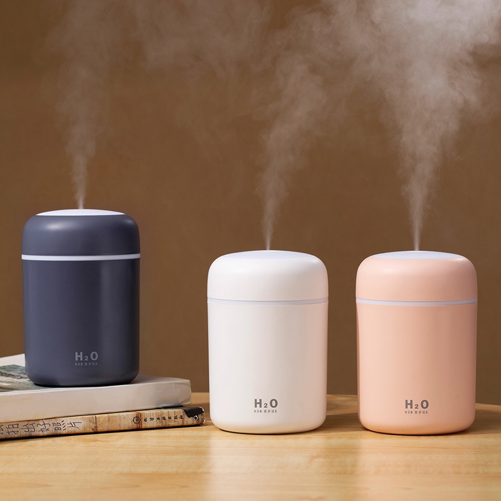 air purifier and humidifier for home