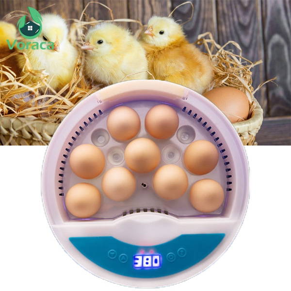 One Chicken Machine Egg