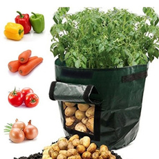 vegetabletool, Flowers, potatobag, Patio & Garden