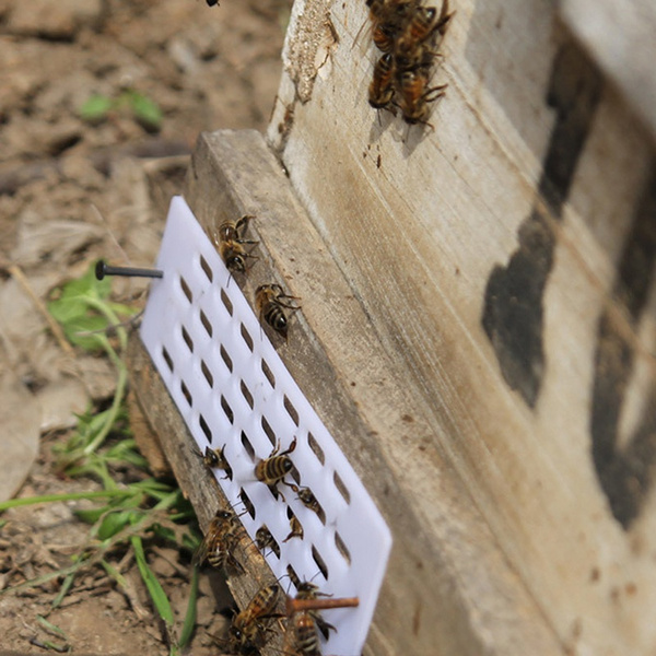 10PCS Beekeeping Tools Anti Escape Anti-Run Queen Sheet Hive Equipment Tool 