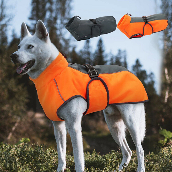 Wish hotsell dog coats