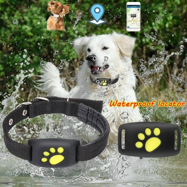 dog location tracker