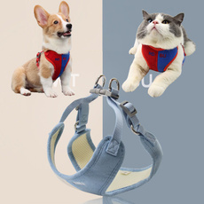 puppy, Pets, cheststrap, For Your Pet