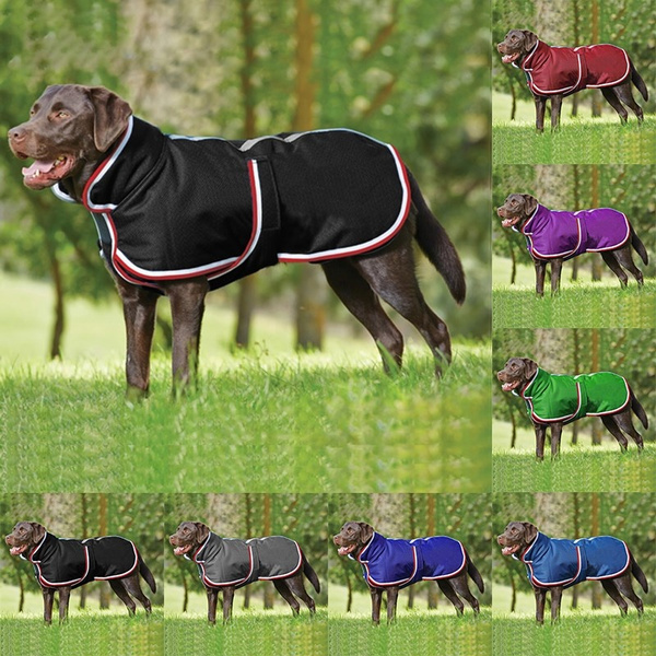 spring dog clothes