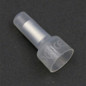 thumbnail - 1