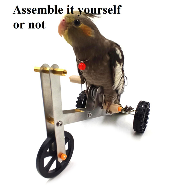 parrot bike toy