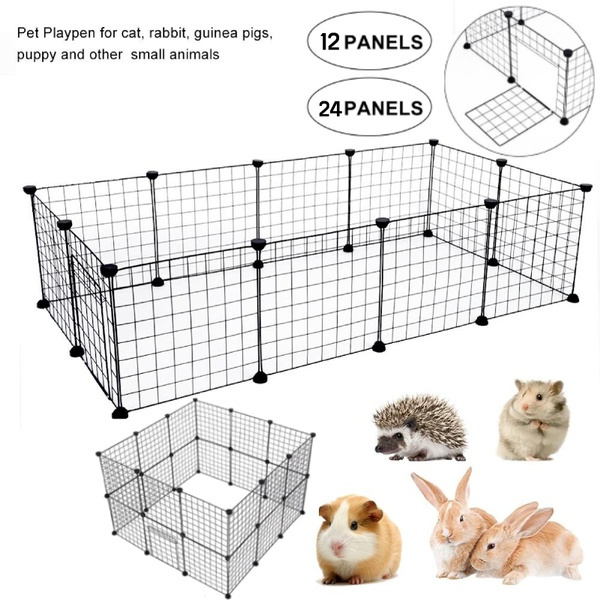 rodent playpen