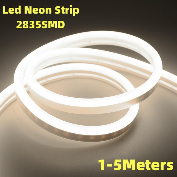 Led rubber 2025