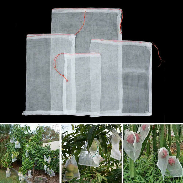 Thumbnail for Dried Fruit And Vegetable Storage Bags With Built-In Fly Control