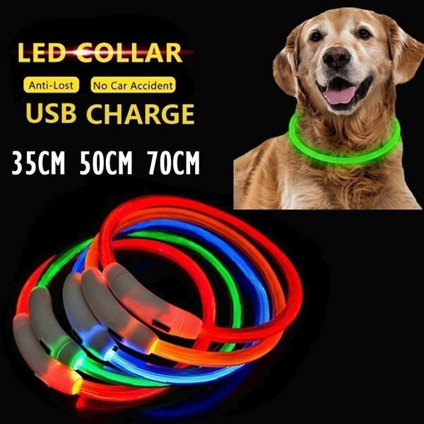 led dog collar rechargeable