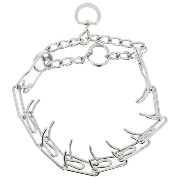 obedience training choke chain