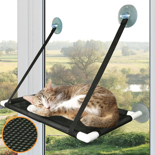 cat hammock for large cats