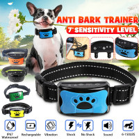 dog training accessories